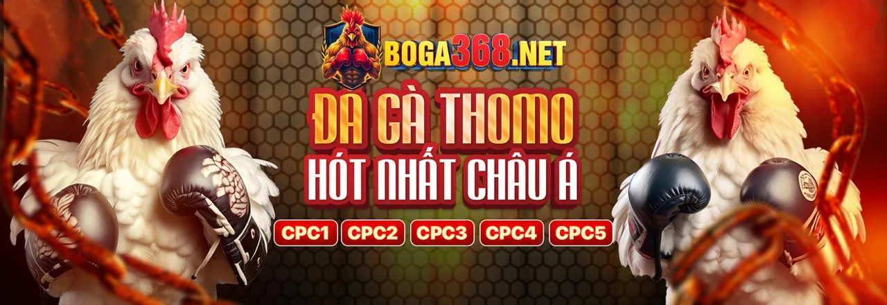 Đá Gà Trực Tuyến sodo77vn – Trải Nghiệm Cá Cược Kịch Tính